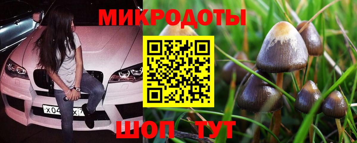 Артёмовский  наркошоп  Вход с VPN  Псилоцибиновые грибы Cubensis 